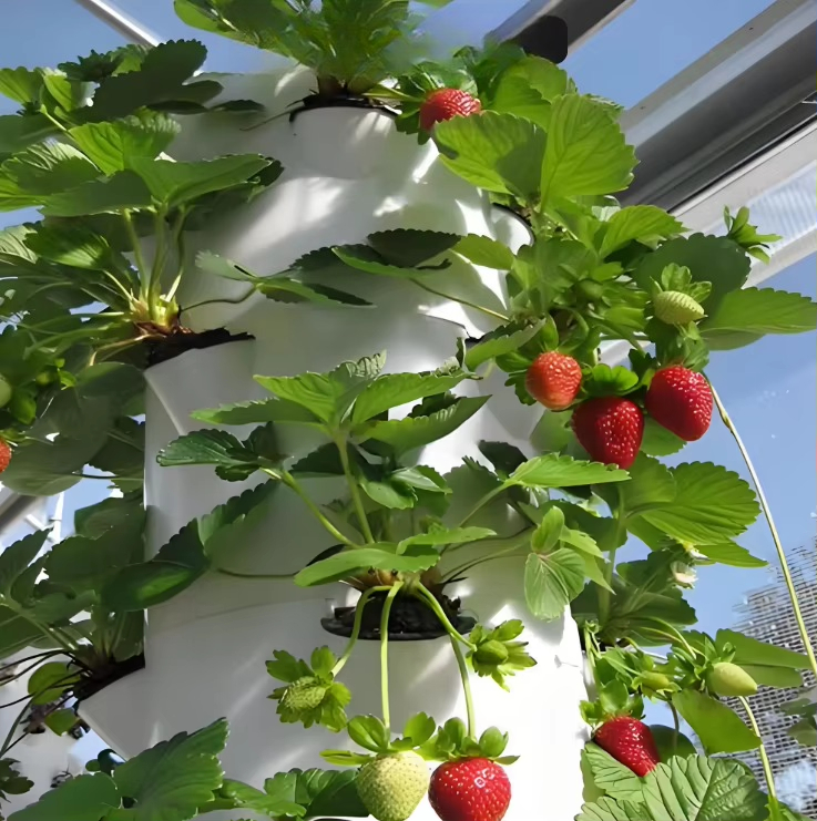 Système mural hydroponique mod - Urban Farming Gardening avis et prix