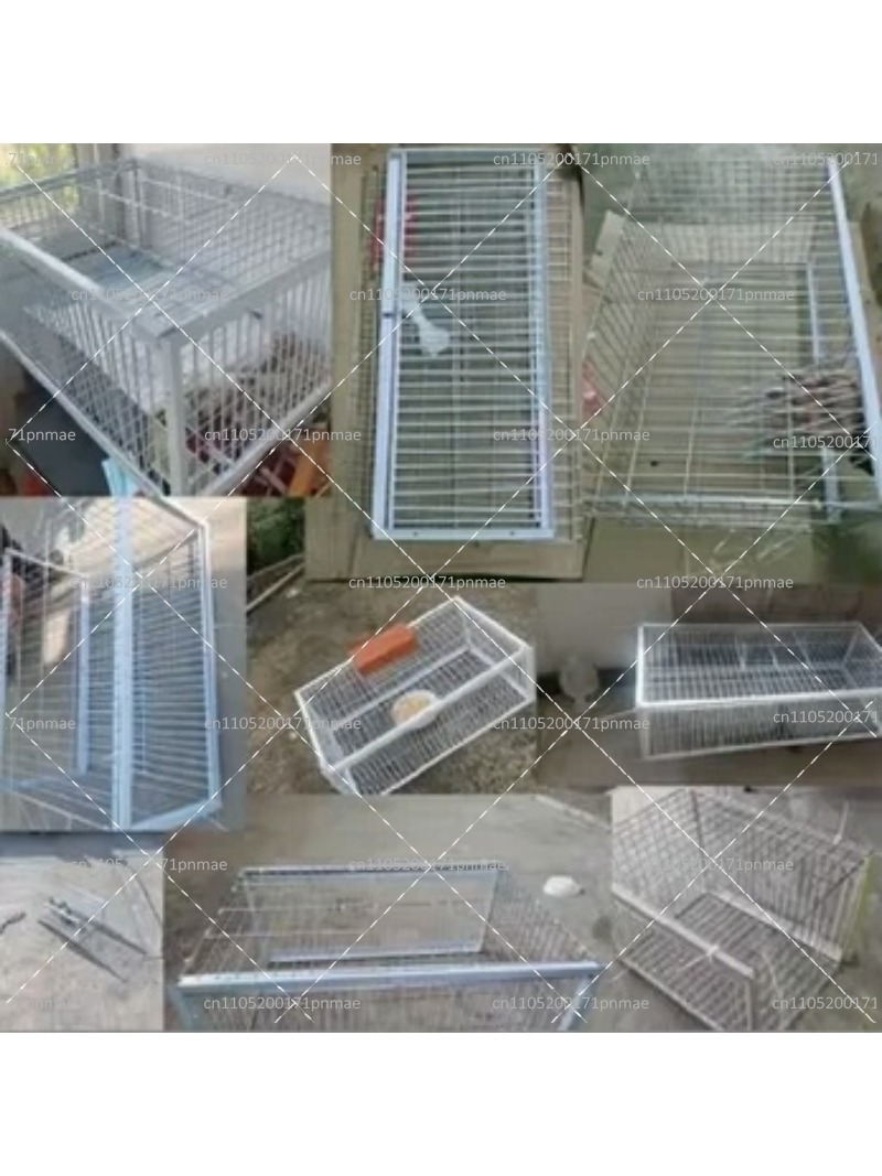 Piège à oiseaux multifonctionn - Urban Farming Gardening avis et prix